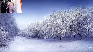 Приветствую Вас из Тулы