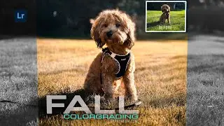 How To Create A fall color grade in lightroom | Autumn vibes