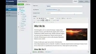 SilverStripe CMS Overview