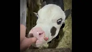 !!🤤😪😰 ГРУСТНО, НО ВКУСНО 