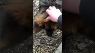 Камаре сегодня семь месяцев 🥰❤️‍🔥🥰
