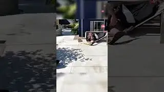 Fat Girl Fails 😂😂😂 Funny People Compilation.