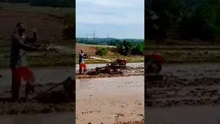 Farm Field Plowing with Tractor #agriculture #tractor #simpleliving  #shorts