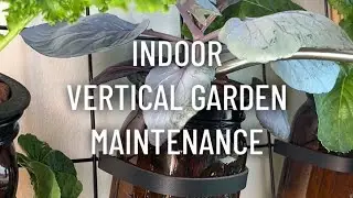 Indoor Vertical Garden Maintenance
