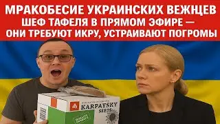 ШОК УКР.БЕЖЕНЦЫ ПОГРОМЫ,МЕСТЬ РАДИ ИКРЫ КРУШАТ ТАФЕЛЬ.ШЕФ ТАФЕЛЯ В ШОКЕ -ОНИ СОШЛИ С УМА
