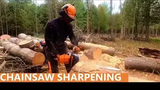 153 - Chainsaw Sharpening and Tuning - Chainsaw Workstation