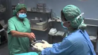 Aumento de Mama Polytech Microthane 330cc | Dra. Garcia-Dihinx