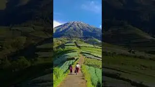 Relaxation,musik piano,yang tenang