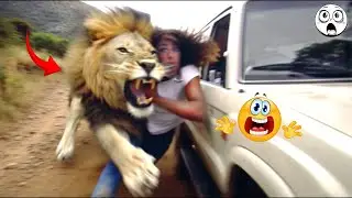 Luckiest People Ever Caught On Camera! Perfect Timing!!! #3