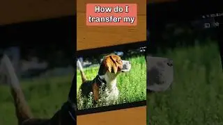 Three ways to trace a reference image
