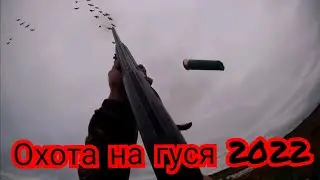 #ОХОТА НА ГУСЯ#СЕНТЯБРЬ#2022#