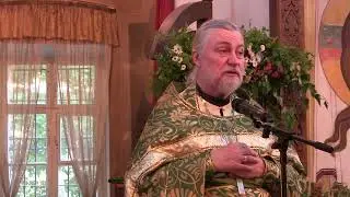 Проповедь на Литургии 04 06 2023 свящ. Петр Коломейцев