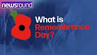Remembrance Day: What is it and why is it important? | Newsround