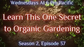 Learn This One Secret to Organic Gardening