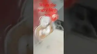 When the Angry Birds are sus... 