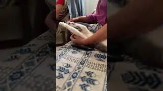Кошачий релакс
