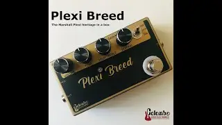 Colombo Audio Electronics - Plexi Breed