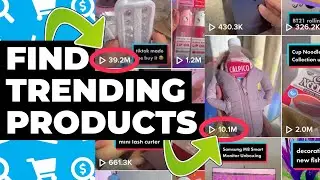 Follow These TikTok Accounts for TRENDING Dropship Products!