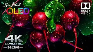 PERFECT True Black OLED Test | Dolby Vision HDR 4K 120FPS Video