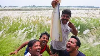 বোয়াল মাছের দারুন স্বাদের পাতুরি রান্না করে খাওয়া | River special Boal fish paturi cooking recipe