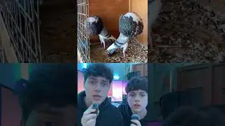 QUE LES PASA NO😱