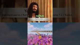 Aykut Elmas Vine - Snapchat Köpek Filtresinden Sonra Köpek Olan Kadın #aykutelmas #aykutelmasvine