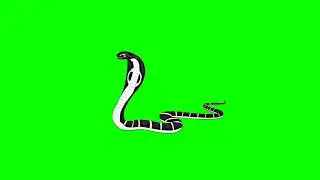 Snake green screen video no copyright free animation