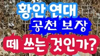 [공천 보장 떼쓰나?] 23-03-08-1 황안 연대 공천보장 떼쓰는 것인가?