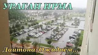 Ураган Ирма. Последние новости из Дайтоны. 10.09.2017
