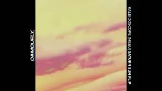 camoufly - Kaleidoscope (Me&U) [saturn sun's flip/bootleg]