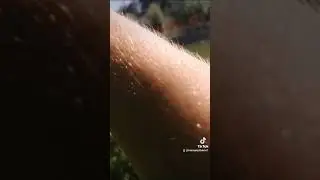 рыбалка в таразе ловля белого амура очень обйдны сход