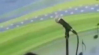Овози тилои 2020 бине