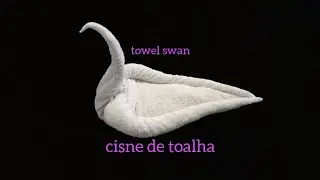 cisne de toalha