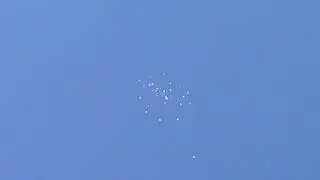 Пермские гривуны. Полет.