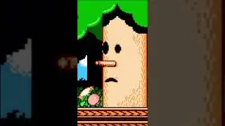 WedNESday: Kirby's Adventure [SHORT]