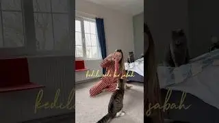 Bir 