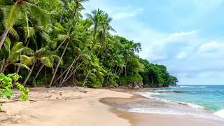 Classic Caribbean Vibes Vol. 1 Byron Lee / Ed Watson / Shadow / Singing Diane / Singing Francine