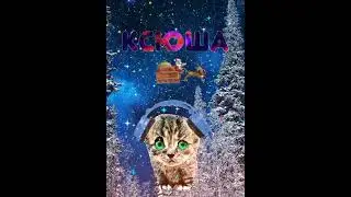 КСЮША С ДНЁМ РОЖДЕНИЯ ❤️ #кошки #приколы ЗИМНИЙ ВЕЧЕР