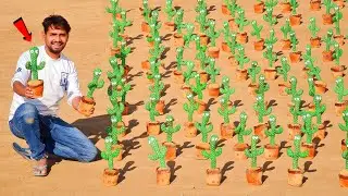 Talking With...100 Talking Cactus🌵- Worth🤑 $10000