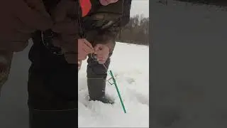 ВЕРТЛЮГ ПОПОЛАМ
