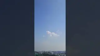 "실제 상황" 6개월 전에 무지개 다리 건넌 푸들이..