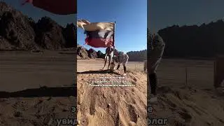 Моя любимая страна ❤️🇷🇺