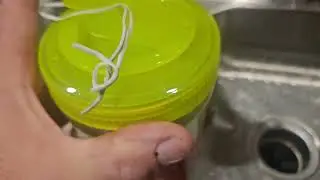 BEST HORNET TRAP