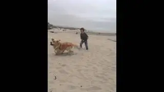 Fun With Dogs: A Boy and His Dog at the Beach