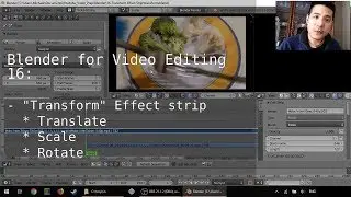 Using the Transform Effect Strip in Blender's Video Sequence Editor (16)
