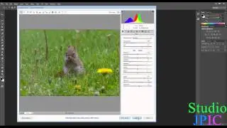 Adobe Photoshop CC - Using the Adobe Camera RAW filter