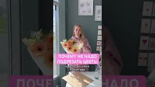 ПОЧЕМУ НЕ НАДО ПОДРЕЗАТЬ ЦВЕТЫ 😜 Как вам наше нововведение? #цветы #flowers #букет #цветы #florist