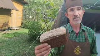 Живой Хлеб Первоистоков от Алексея на фесте Возрождение.