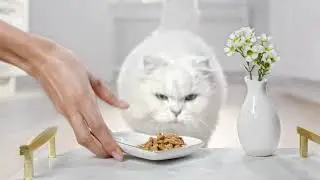 Fancy Feast Petites™
