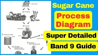 How to Describe a Process Diagram [IELTS Writing Task 1 Band 9 Guide]